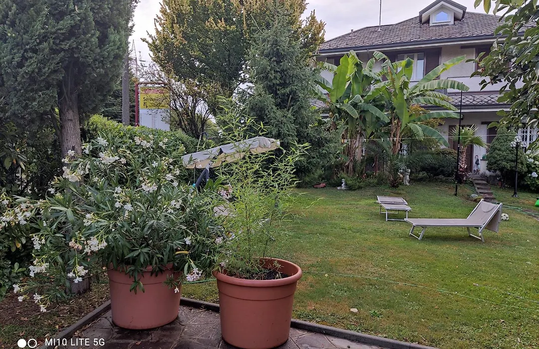 B&B Ariosto 26-1